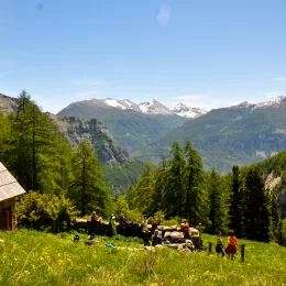 randonnée en montagne Chasse Val d'Allos