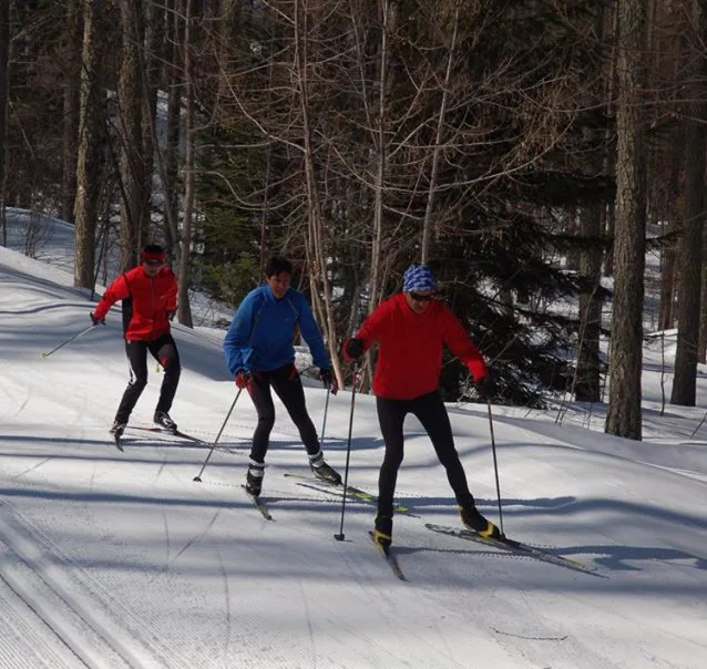 ski nordique sous les mélèzes