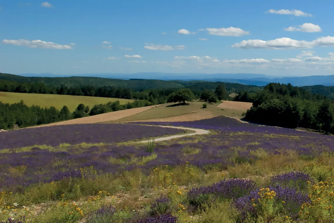 Route Giono Le Contadour ©Michel Boutin