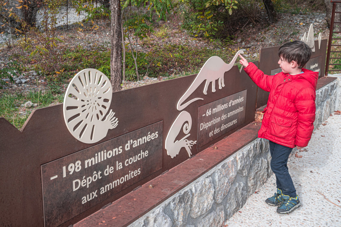 Dalle aux ammonites Digne-les-Bains ©AD04-Globeblogueurs